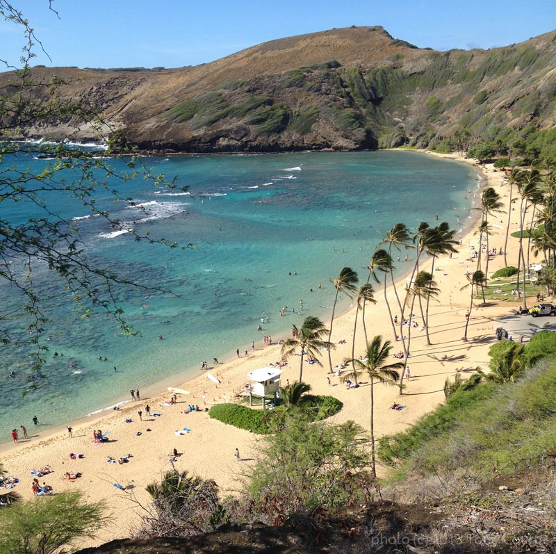 Photo of Hanauma Bay (by Torry Courte)