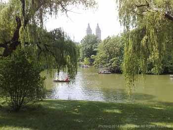 Central Park, New York photo by Torry Courte