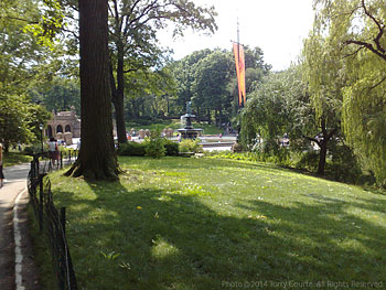 New York Central Park (photo by Torry Courte)