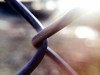Fence (photo by Torry Courte)